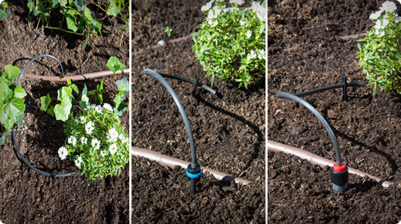Water Conservation Video Library Now Available