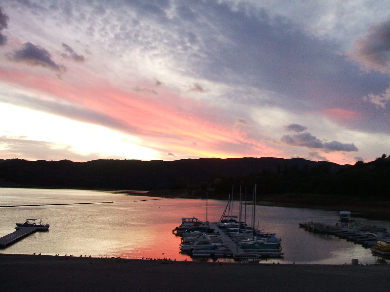 Pink Sunset