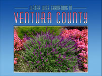 http://www.drivecms.com/uploads/casitaswater.org/ads/812914255Ventura-Web-Logo-1.jpg