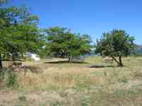 picnic10 picnic10