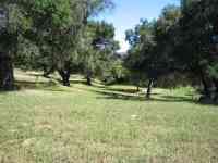 picnic4 picnic4