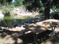 picnic6 picnic6