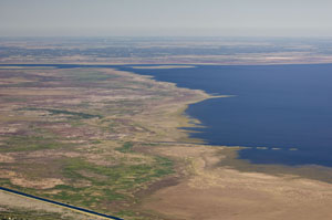 Support The River of Grass Coalition