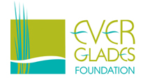 The Everglades Foundation