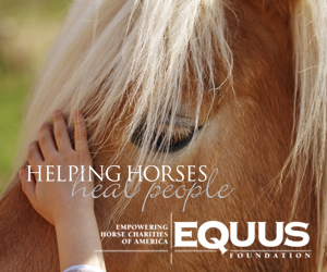 Equus Ad