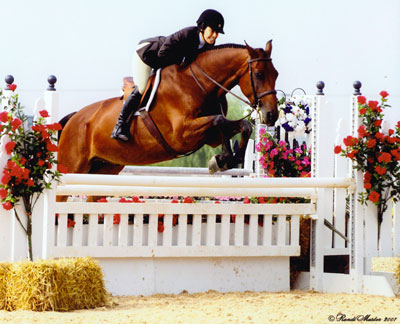 Cathy Sacher jumping a horse