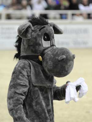 wihs mascot