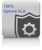 100% uptime SLA