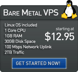 Bare Metal VPS