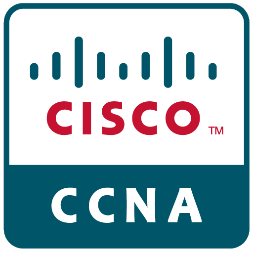 Cisco Network Partner