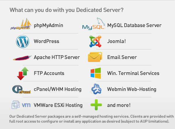 What can a Dedicated Server do