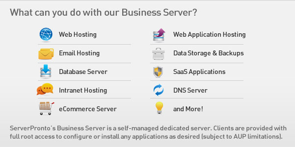 Business Server Uses